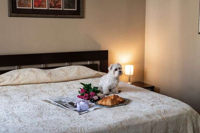 Гостиница Модерн Ярославль-17