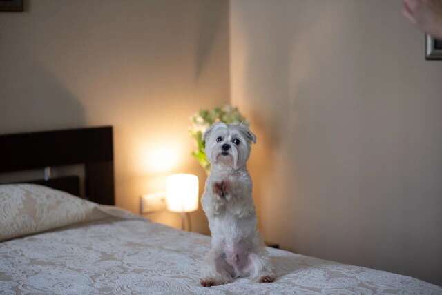 Гостиница Модерн Ярославль-16